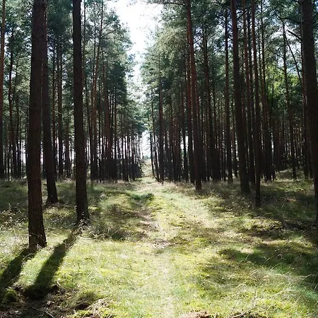 Ferienhaus Lubtheener Heide