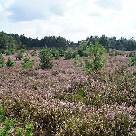 Tatil Evi Ferienhaus Lubtheener Heide *