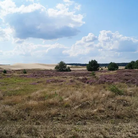 Ferienhaus Lubtheener Heide *